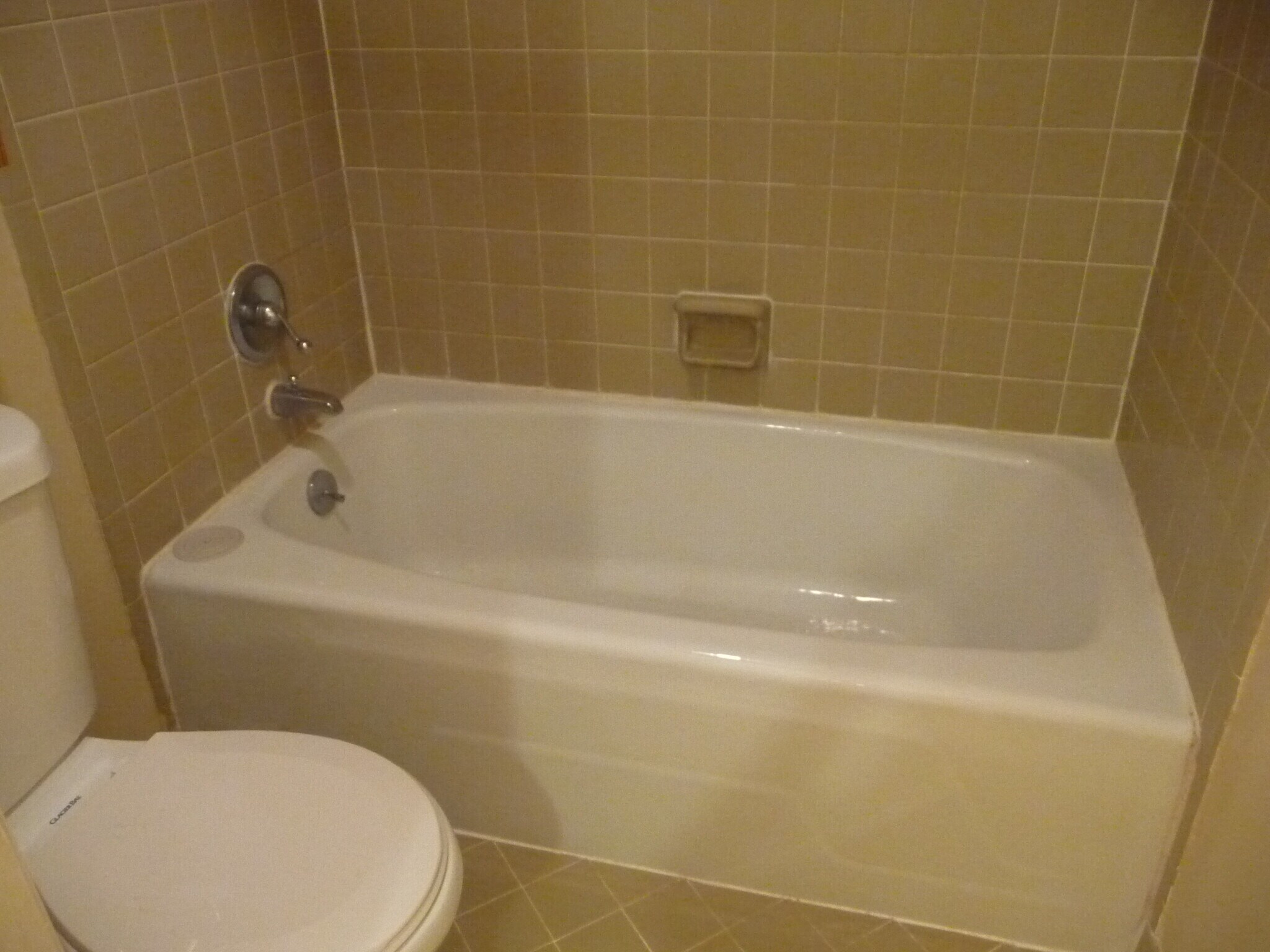 Master bathroom - 508 Patton Chapel Way
