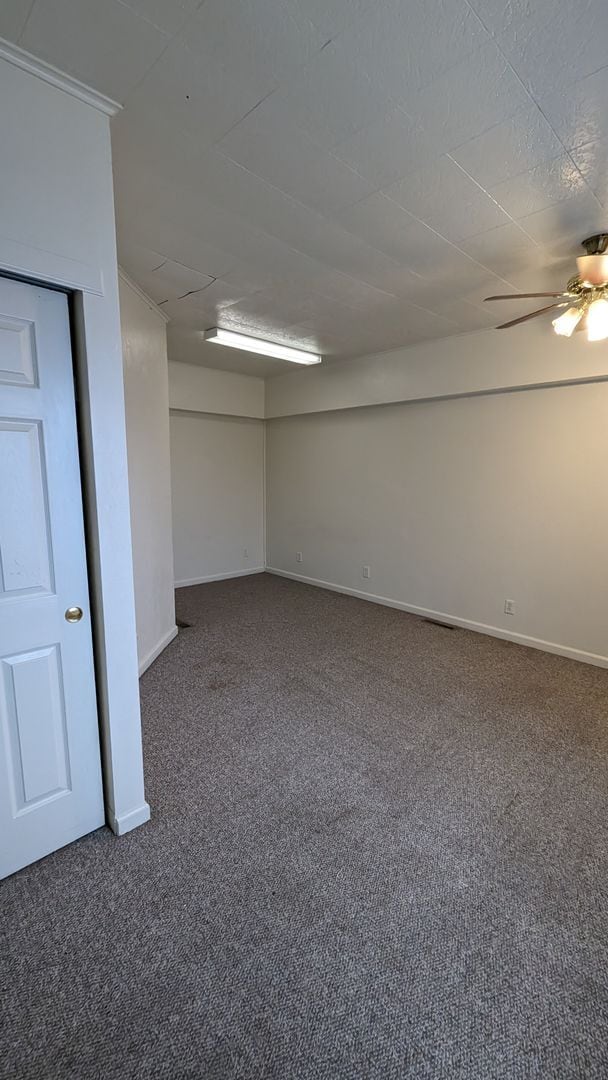 Building Photo - 707 Brady-707