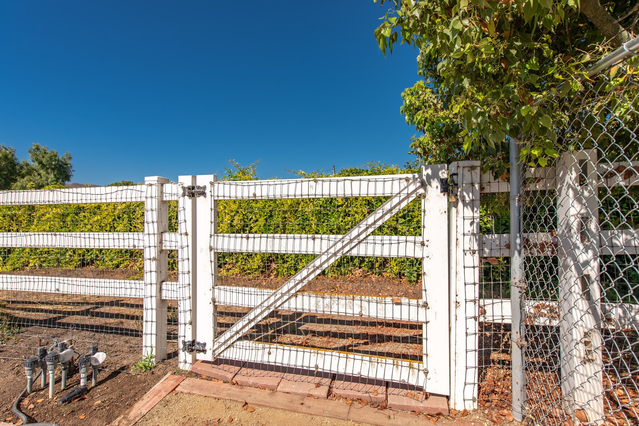 Building Photo - 2474 Barbara Dr