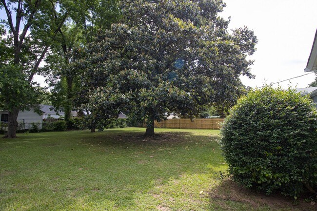 Building Photo - 2715 Kiawah Ave