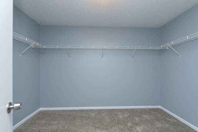 Building Photo - Large 4 Bedroom in Fishers!