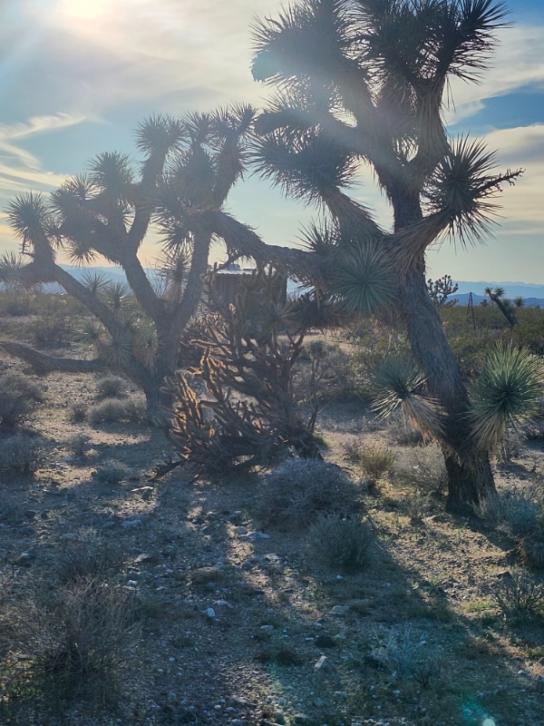 Building Photo - 15231 S Wild Bill Rd