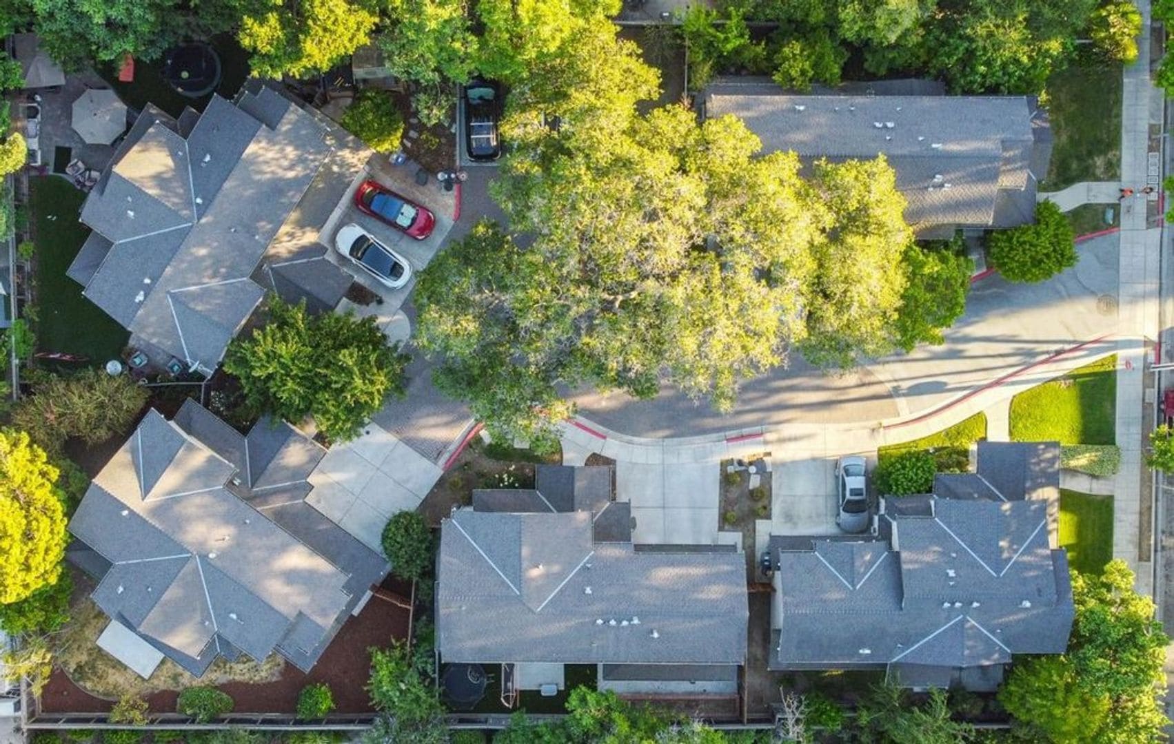 Building Photo - 1570 Layla Ct