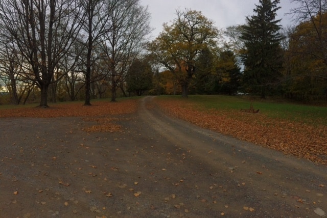 Road to The Olcott Estate - 45 Olcott Ln