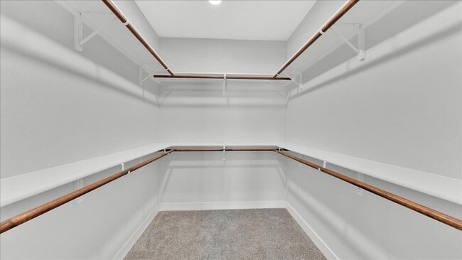 Building Photo - 248 Brushy Crk Trl