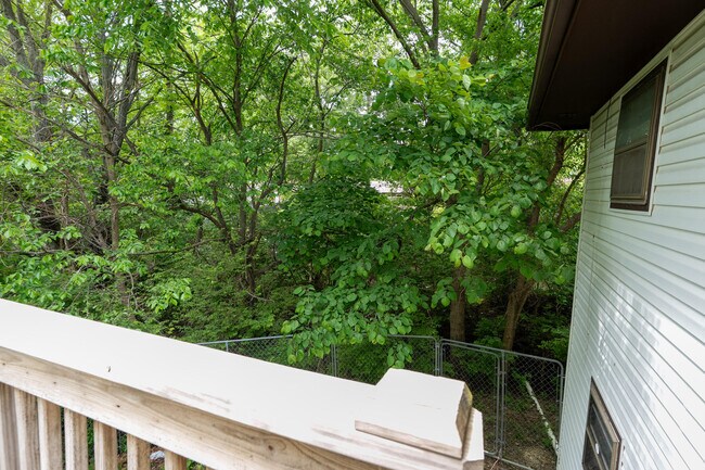 Building Photo - 4246 Santa Anna Dr