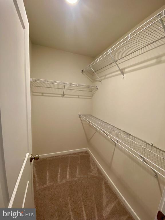 Building Photo - 313 Huff Dr