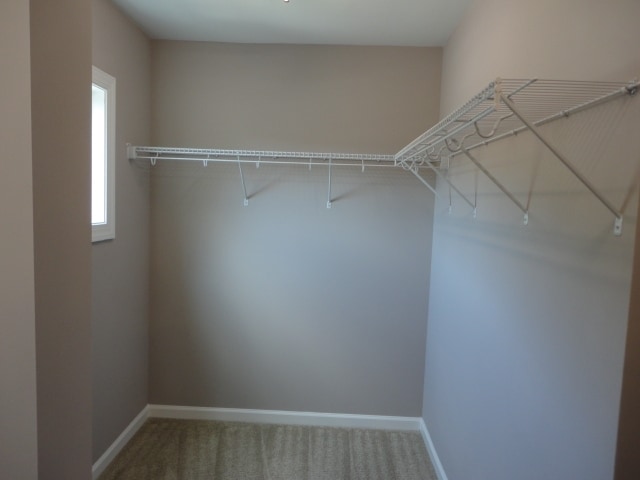 Building Photo - 108 Occidental Dr