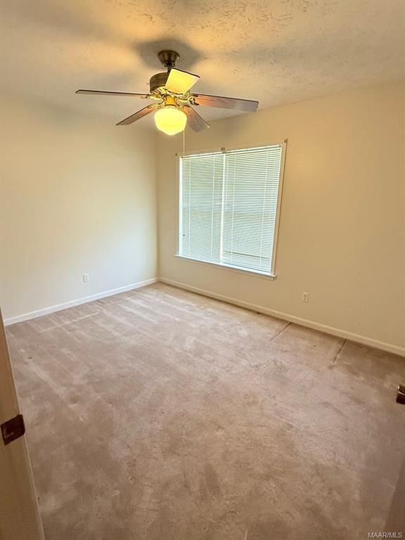 Building Photo - 710 Summer Ln