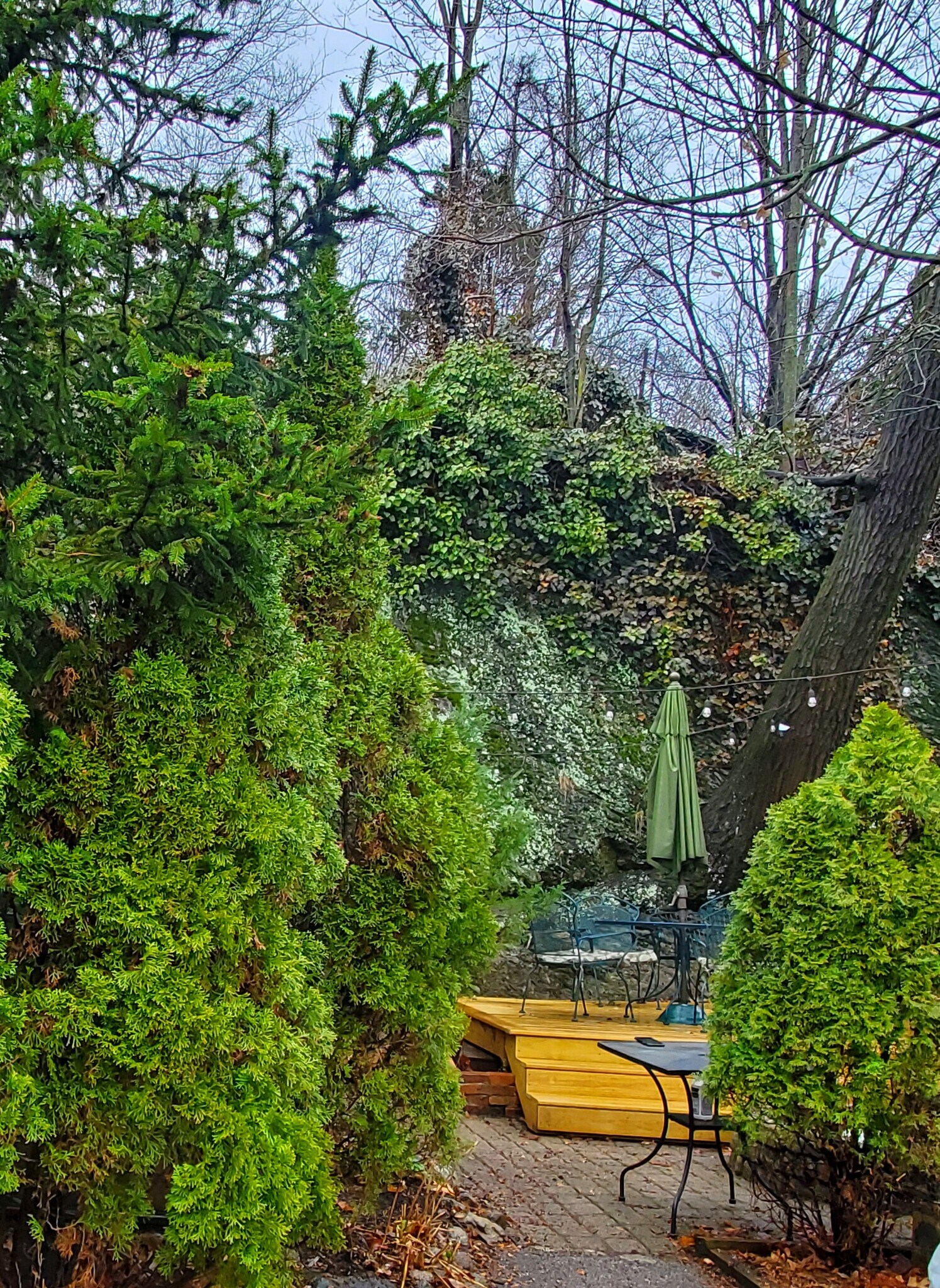 Path to private yard - 191 Elliot St