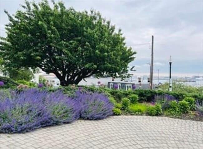 Building Photo - 6 Brigham St