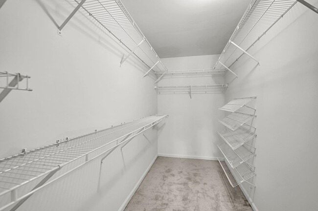 Building Photo - 104 Pebble Brook Dr