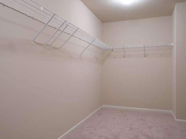 Building Photo - 1494 Townsend Ct