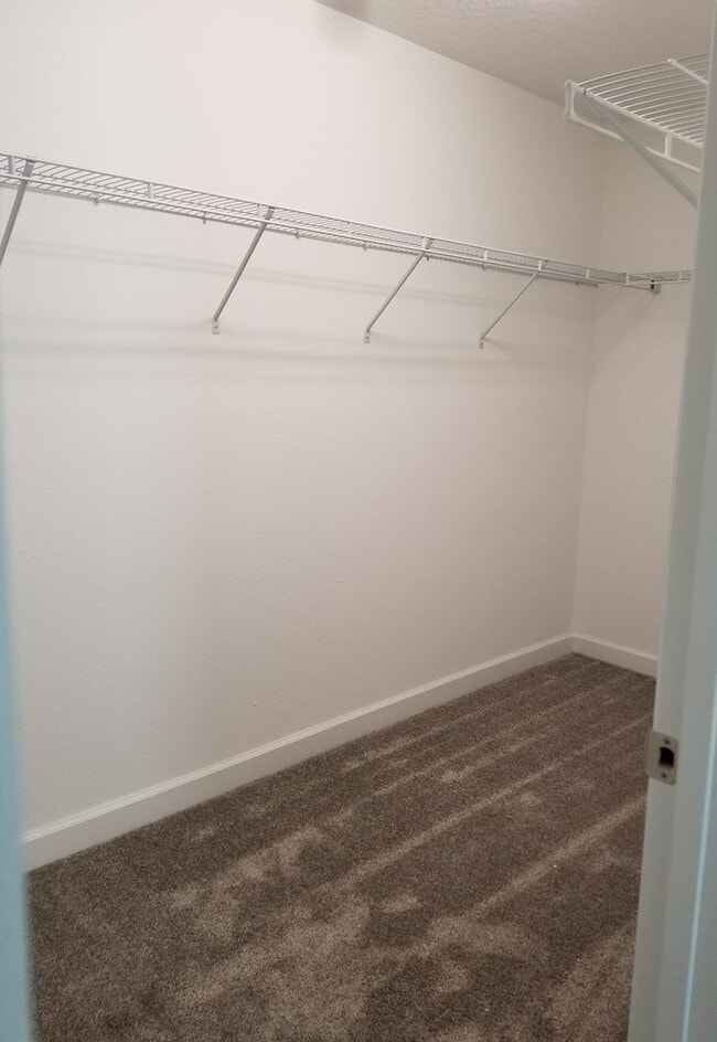 Building Photo - Spacious Oaks at Moss Park Home!