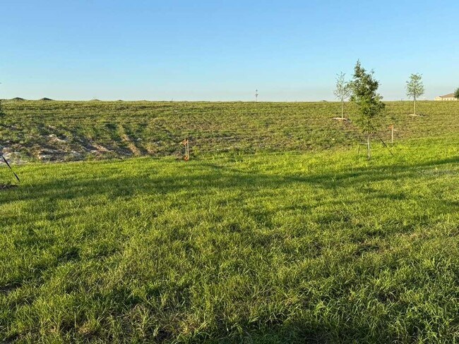 Building Photo - 3367 Alexander Dr