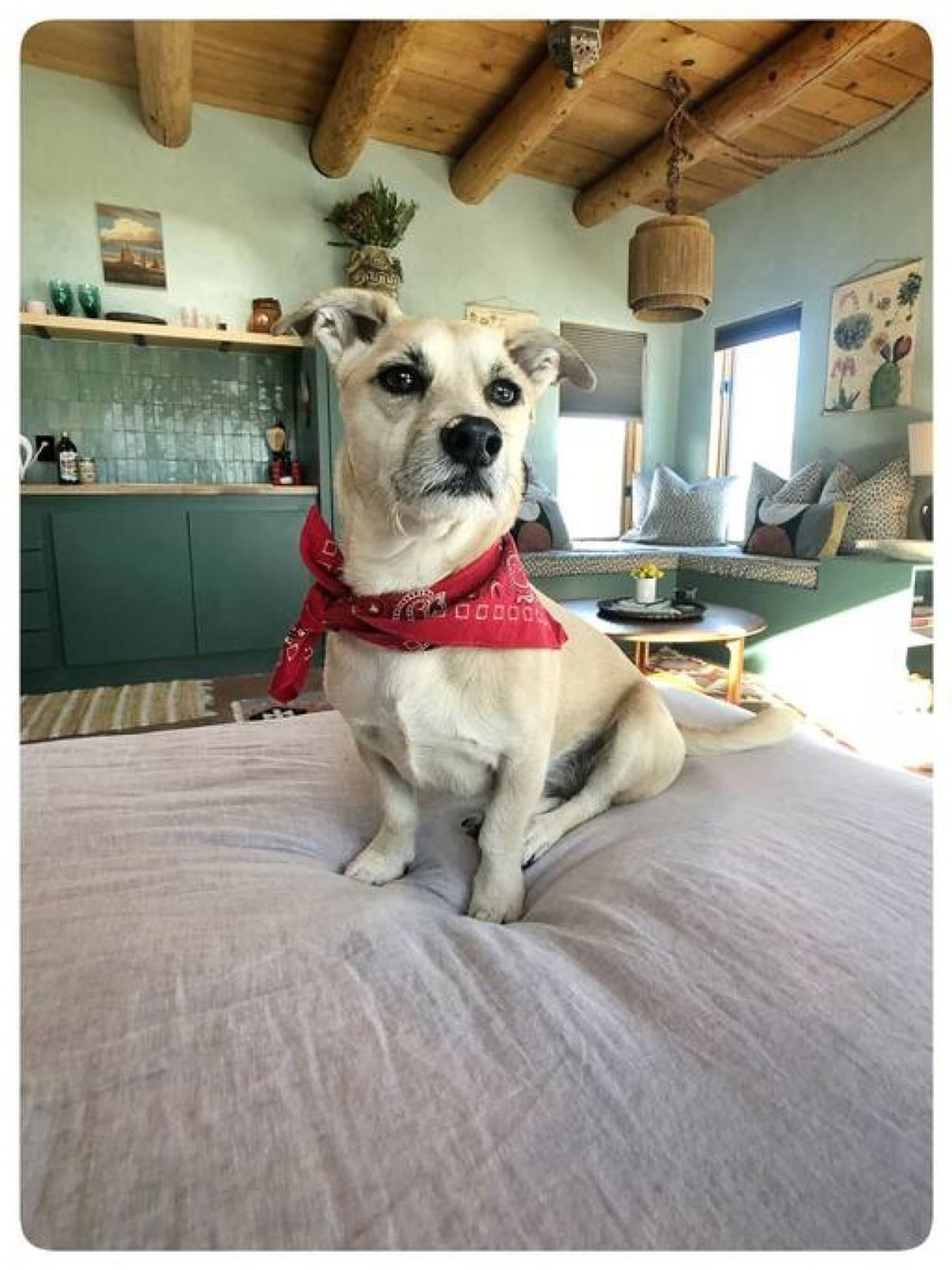 Building Photo - 750 Chicoma Vista