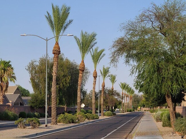 W. Acoma Dr. - 13009 W Evans Dr