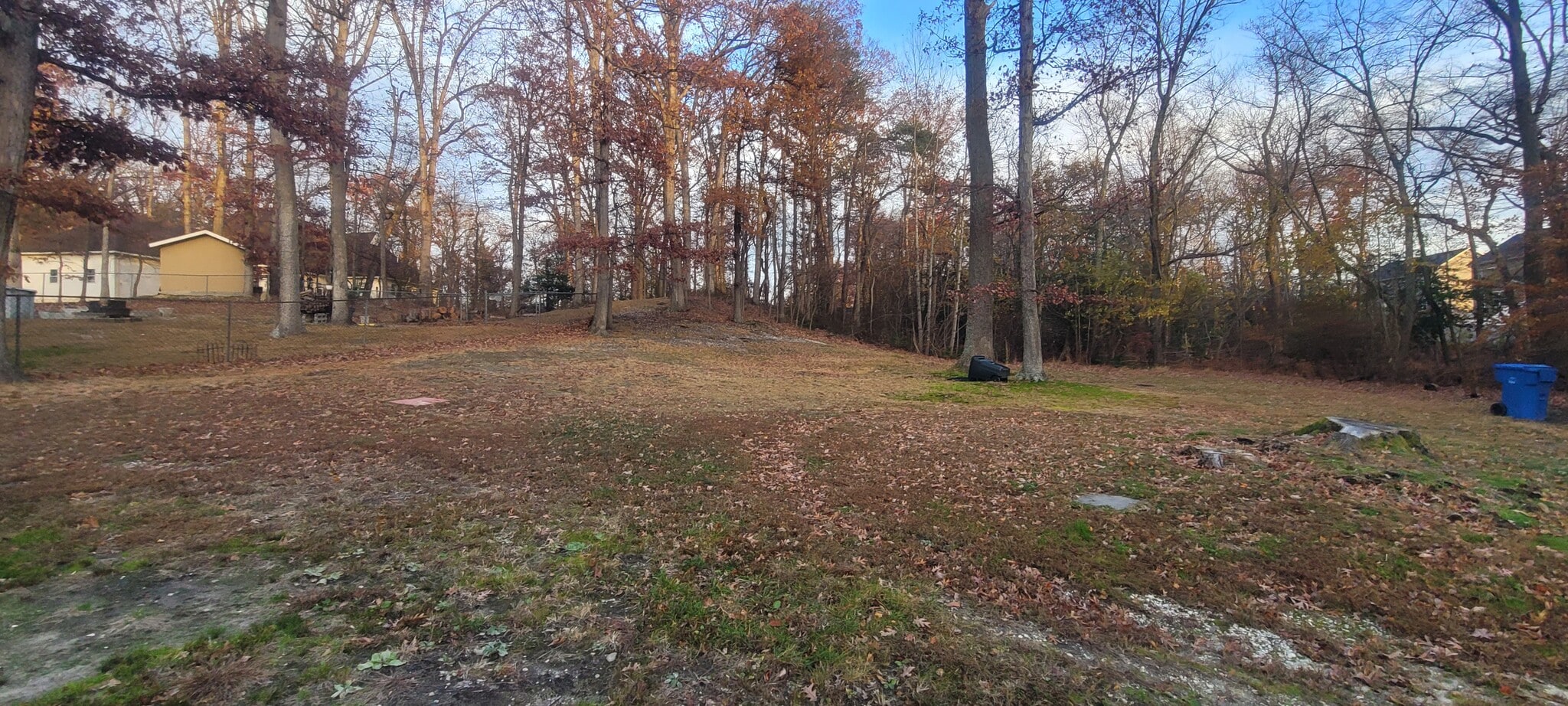 Backyard - 7006 Coolridge Dr