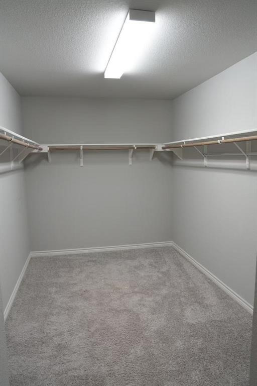Building Photo - 808 Alta Wy