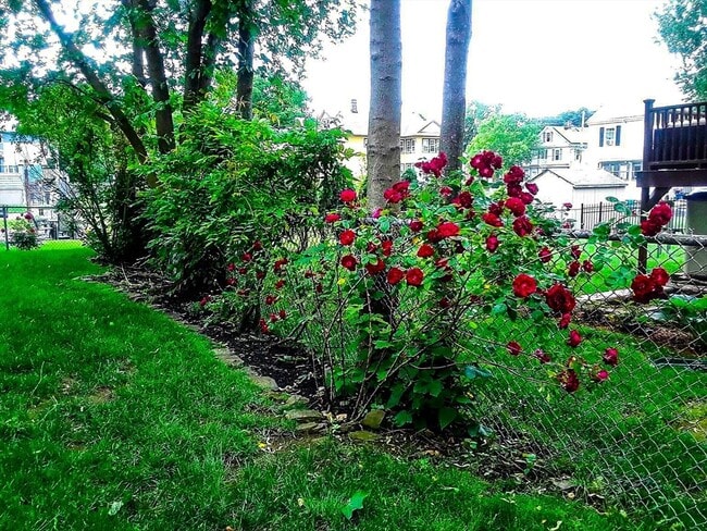 Building Photo - 35 Hillock St