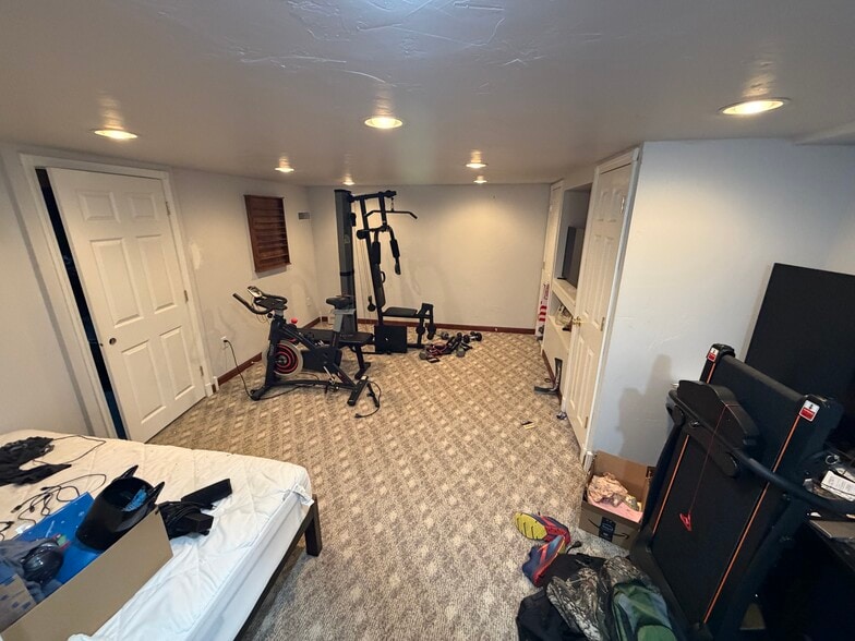 Basement - 2997 Sandia Dr