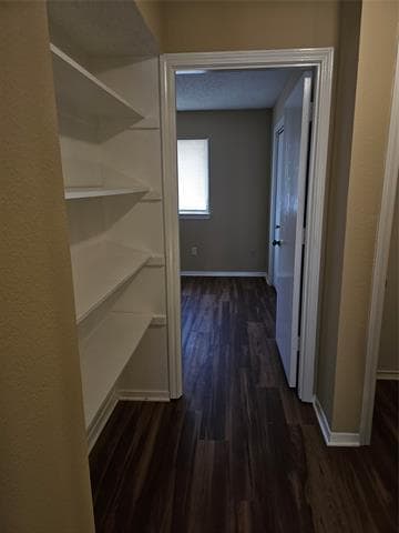 Building Photo - 2822 Wimbledon Ct