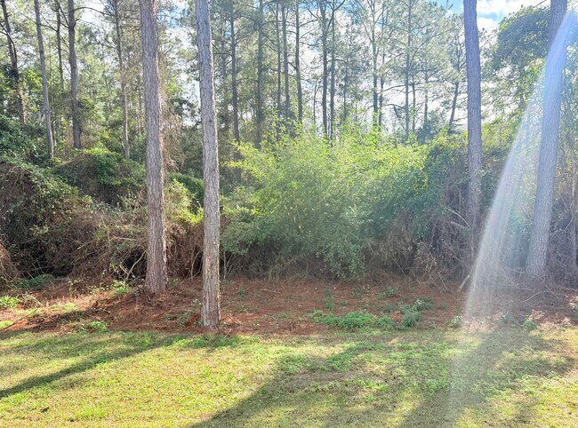 Building Photo - Spacious 4-Bedroom Home