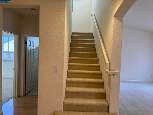 Building Photo - 4641 Palomino Way