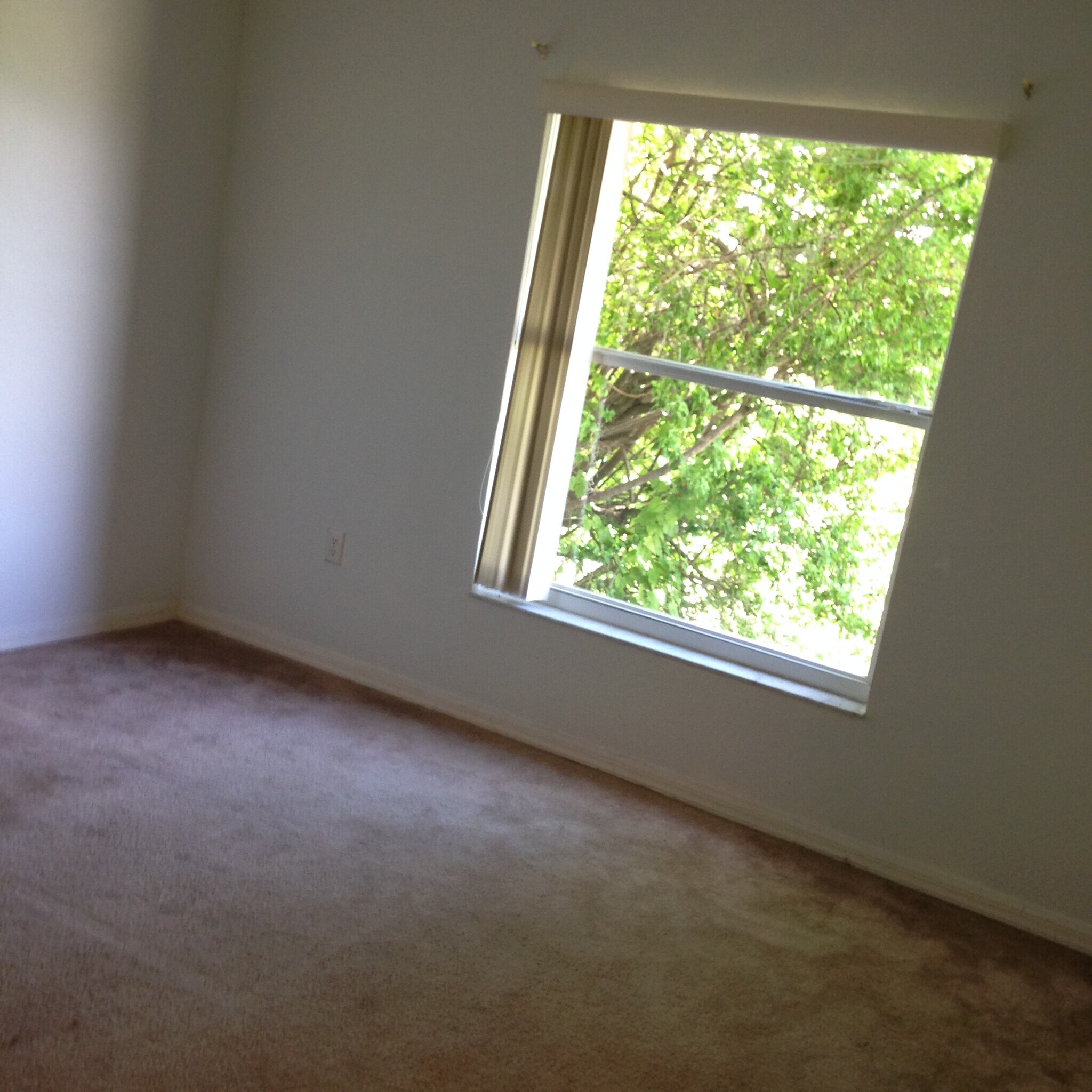 Building Photo - 7166 Summit Dr