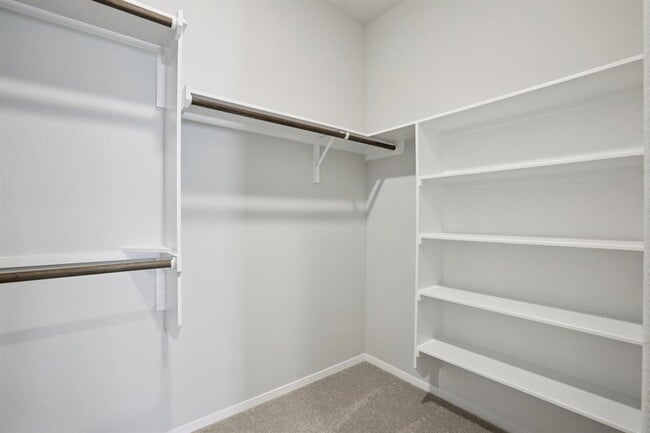 Building Photo - 11905 Murano Dr