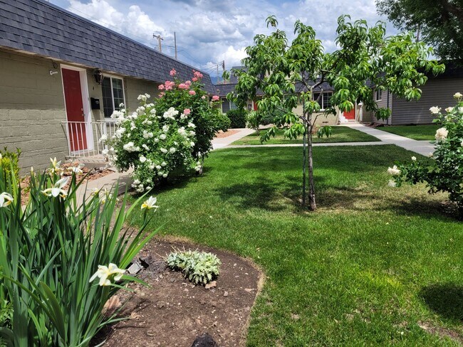 Building Photo - 1 Bed 1 Bath Main Level (no neighbors above or below) Apartment within Walking Distance to Whole ...