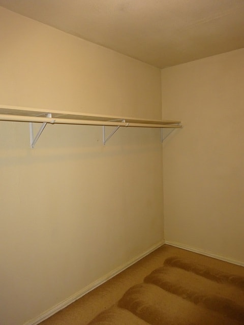 Building Photo - 3638 Candlehead Ln