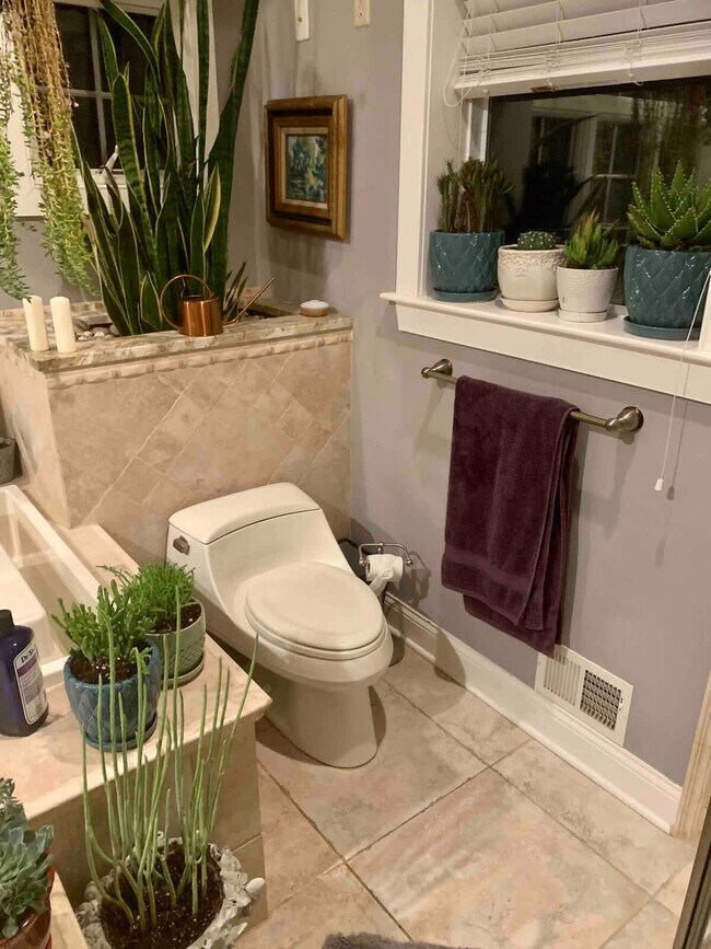 Building Photo - 15 Ferry St