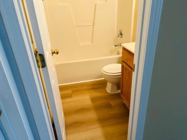 Bathroom2 - 373 Indian Branch Dr