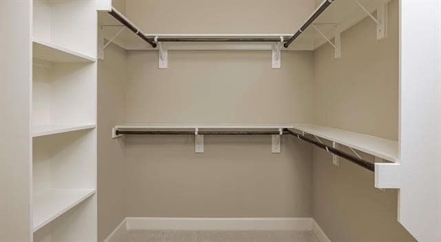 Building Photo - 3819 Snow Goose Trl