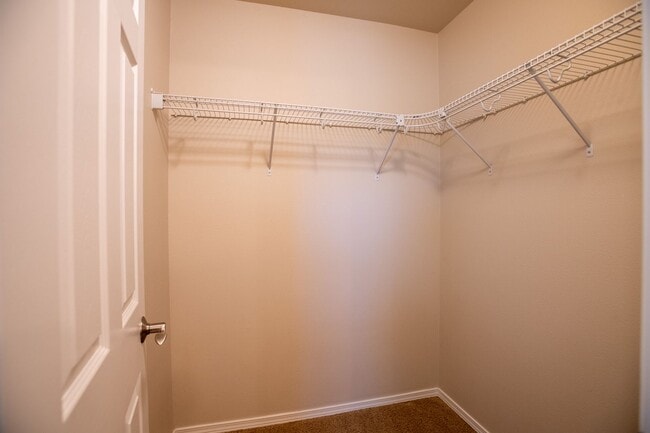 Building Photo - Light and Bright Beautiful 3 bedroom Home!