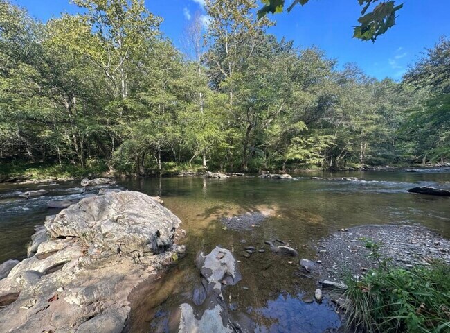 Building Photo - 3626 Pittman Center Rd