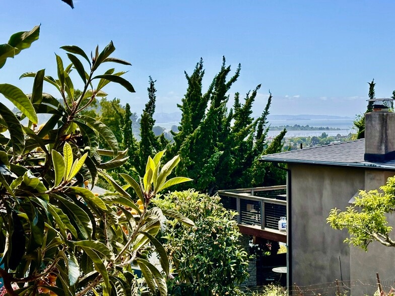 Building Photo - 733 Balra Dr