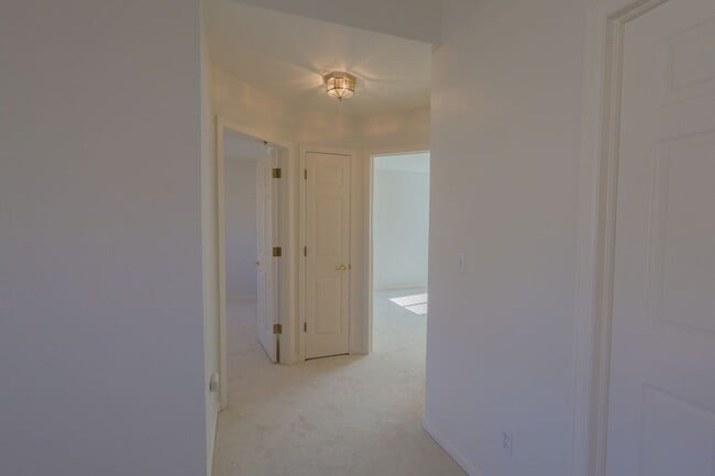 Building Photo - Big, Beautiful, and Bike-Path-Adjacent!