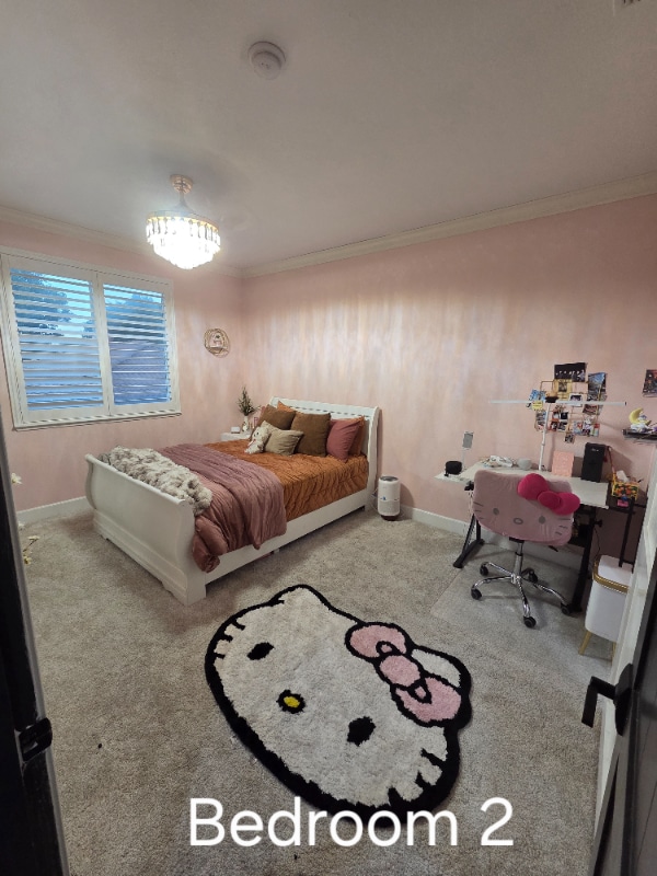 Building Photo - 11 Sola Ct