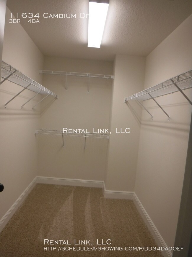 Brand New Luxury Townhouse in Boyette Park 11634 Cambium Dr Riverview