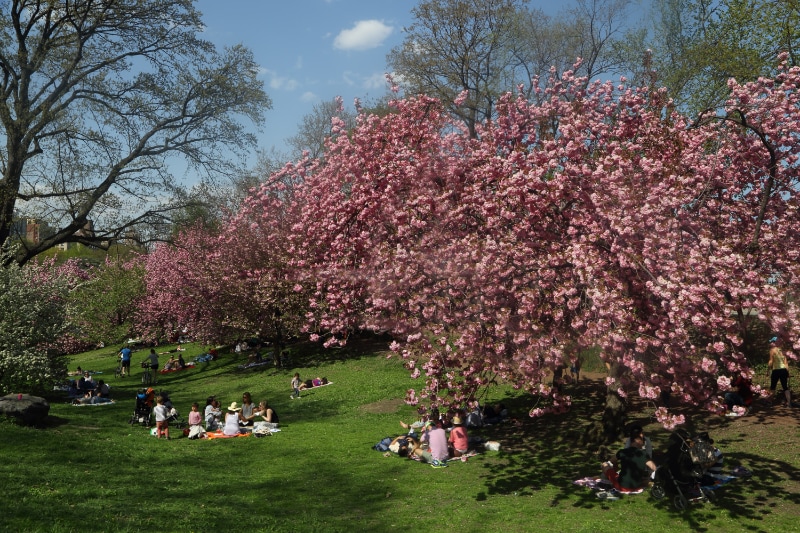 Building Photo - 205 E 59th St