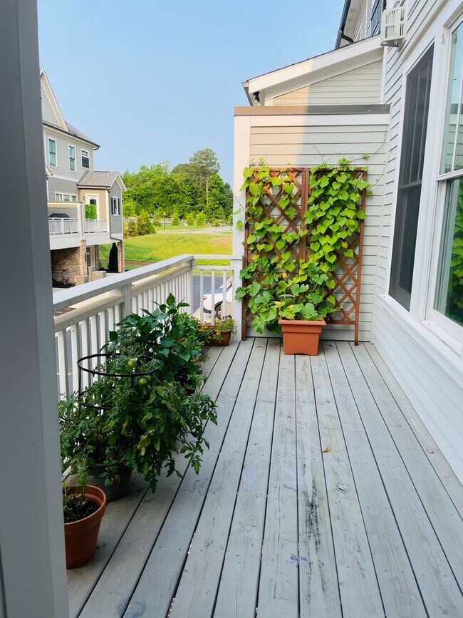 Building Photo - Spacious 4BR House in Milton