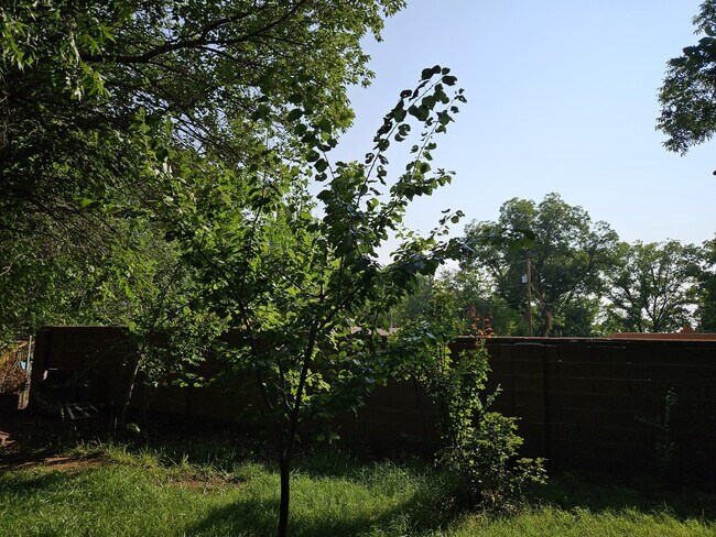 Building Photo - 605 Encino St