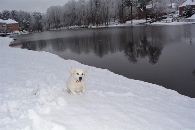 Building Photo - 870 Longstone Landing