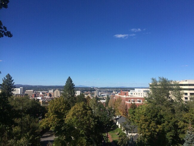 Building Photo - Cliff Dr. Apartment - Spacious with Hardwo...