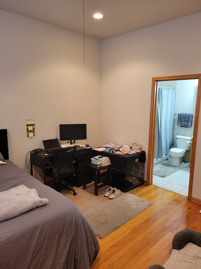 Primary Bedroom - 1455 W Belmont Ave
