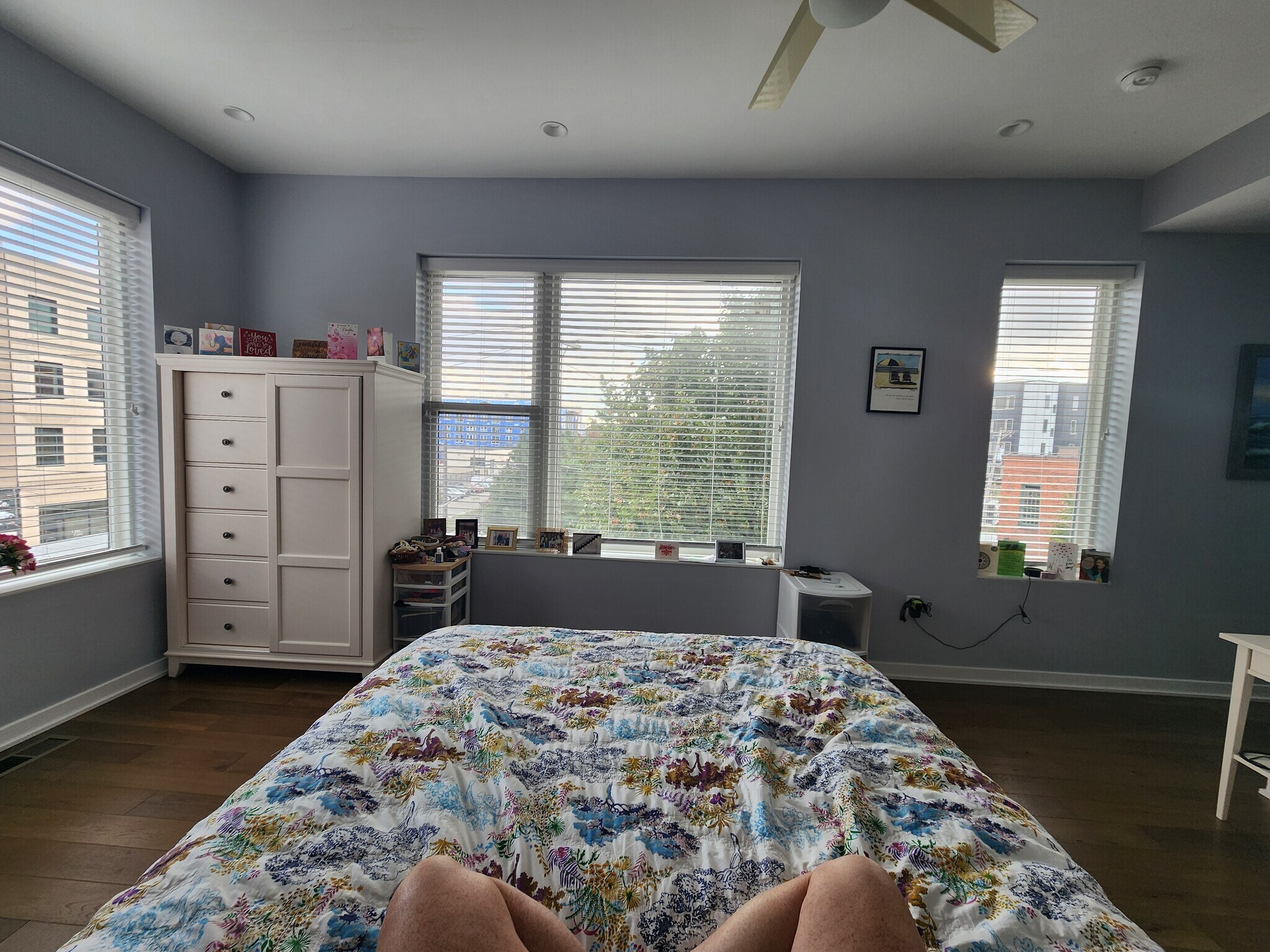 Tons of natural light - 1500 N American St