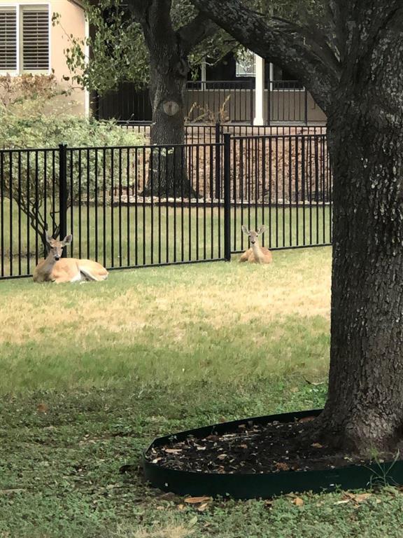 Building Photo - 129 Dewberry Dr