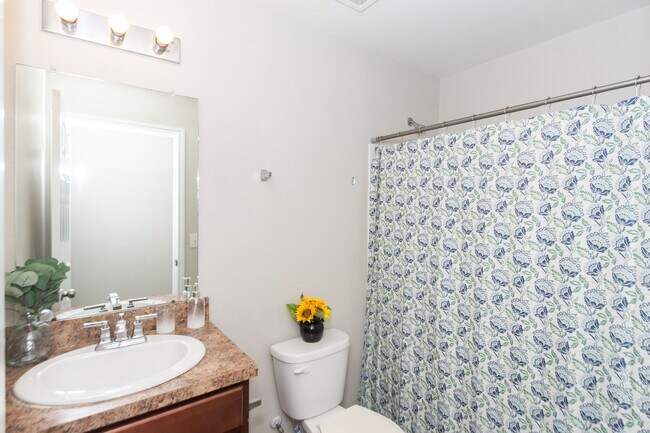 Building Photo - 2703 Summer Ln